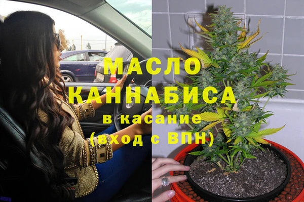 прущий лед Алзамай
