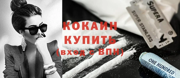 прущий лед Алзамай
