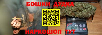 МДПВ Канаш