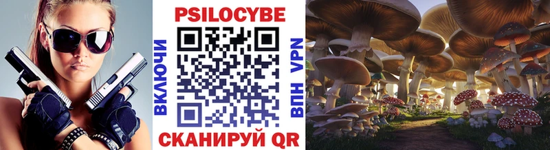 Псилоцибиновые грибы Psilocybine cubensis  Киреевск 