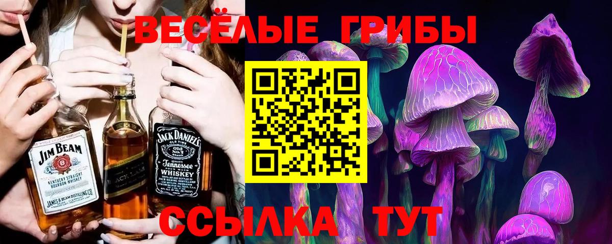 Псилоцибиновые грибы Psilocybe Киреевск