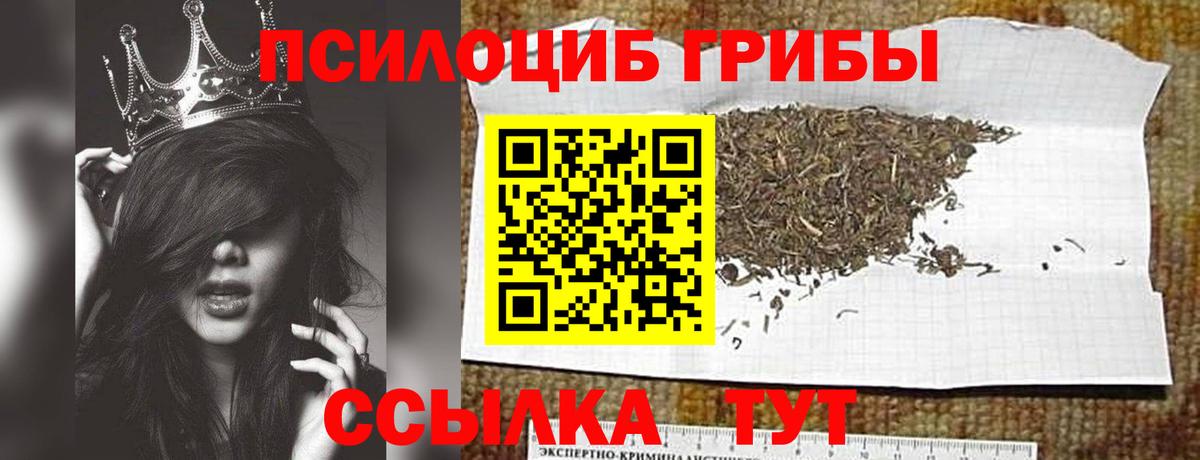 Галлюциногенные грибы GOLDEN TEACHER  Вход с VPN  Галлюциногенные грибы прущие грибы  Киреевск 
