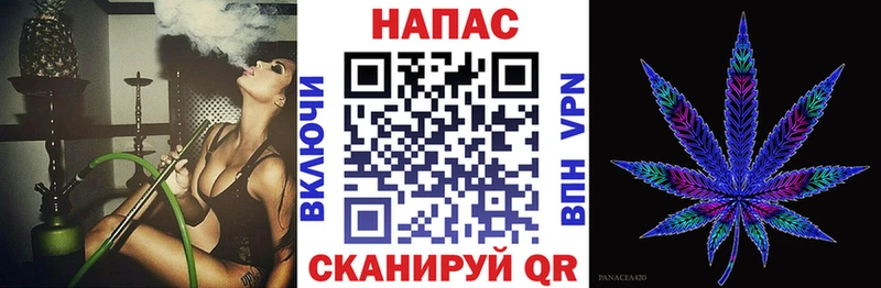 Бошки Шишки планчик Киреевск